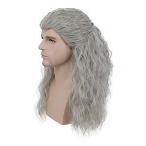 karlery Adult Men Long Curly Wave Silver Gray Wig Halloween Cosplay Anime Costume Party Wig