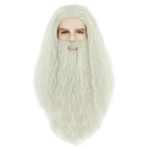 karlery Men Long Curly Grey Wizard Wig and Fake Beard Halloween Cosplay Costume Accessory Wig(Gray beard wig)