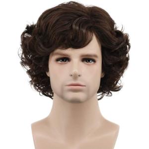 karlery Adult Men Brown Short Fluffy Curly Wig Halloween Cosplay Wig Anime Costume Party Wig(Dark Brown)